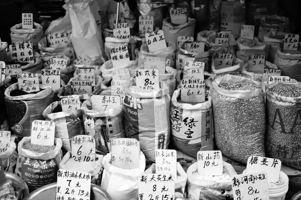 手机支架市场观察：桌面与车载支架的消费需求变化趋势分析