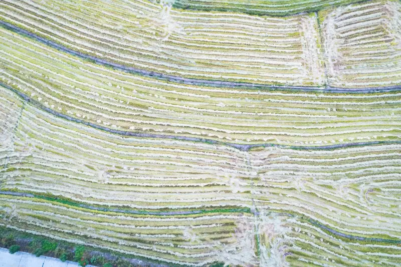 手机支架选购指南：磁吸支架与自拍杆适用场景解析