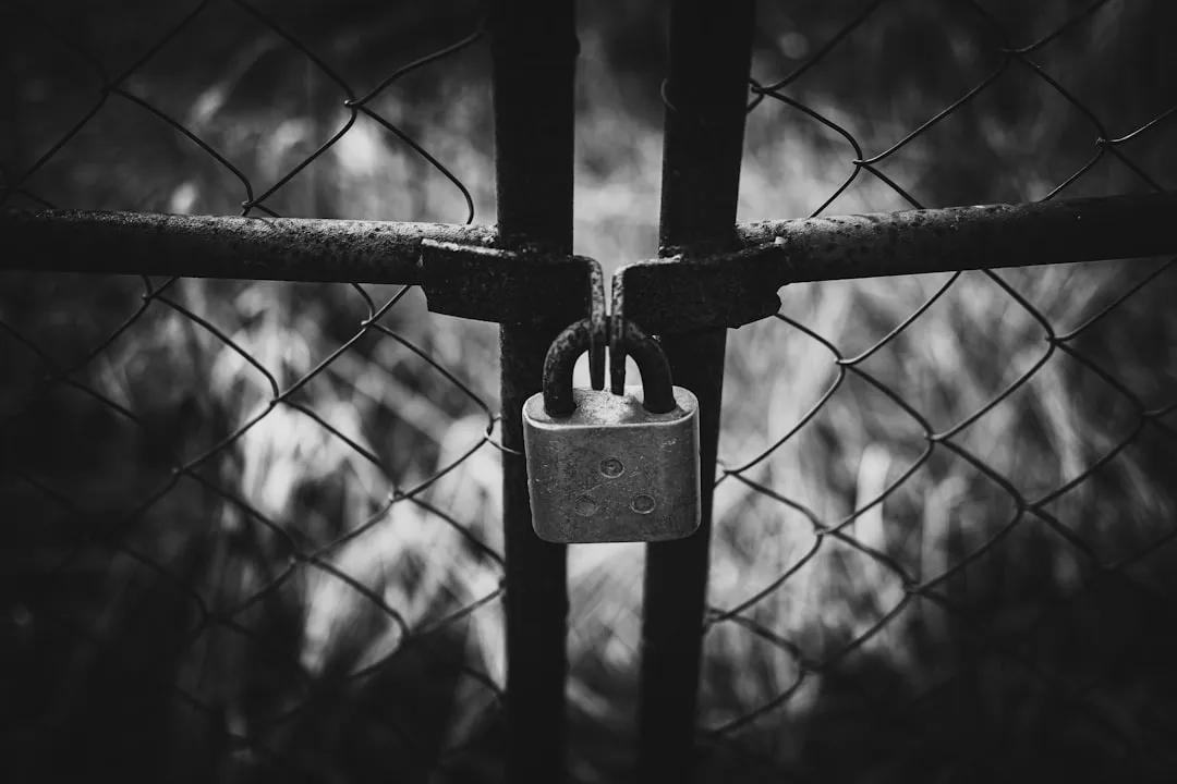 桌面支架与车载支架结构设计差异及选购要点分析